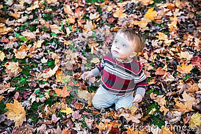 Boy Sitting on Leaf Covered Ground Looking Up Stock Photo
