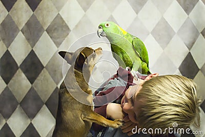 Boy with small dog and parrot Stock Photo