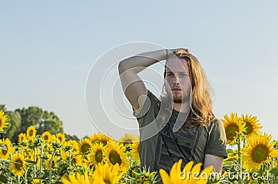 Boy at sunflowers field Stock Photo