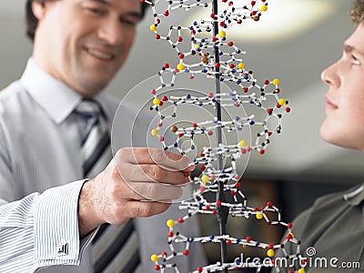 Boy With Teacher Examining DNA Model Stock Photo