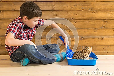 The boy teaches the little kitten to go to the toilet, and removes it after him Stock Photo