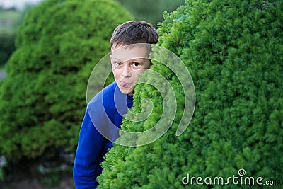 Boy teenager peeking out of a bush Stock Photo