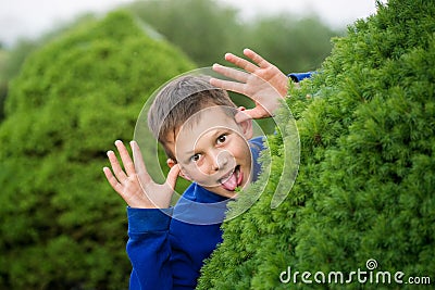 Boy teenager peeking out of a bush Stock Photo