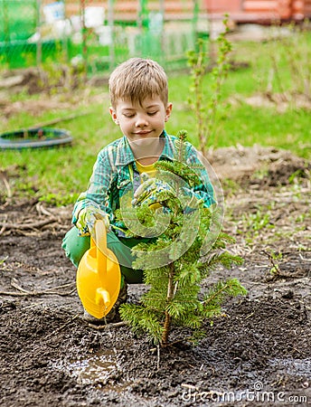 Boy watering the planted tree Stock Photo