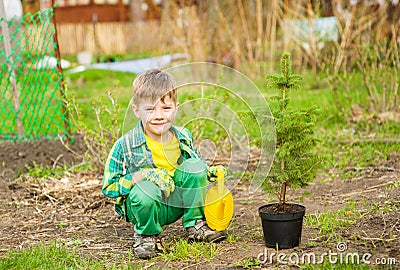 Boy watering the planted tree Stock Photo