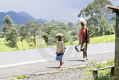 Boy workers in tea plantation Editorial Stock Photo