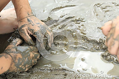 Boys looking for Snail shells on the sea floor mud. Stock Photo