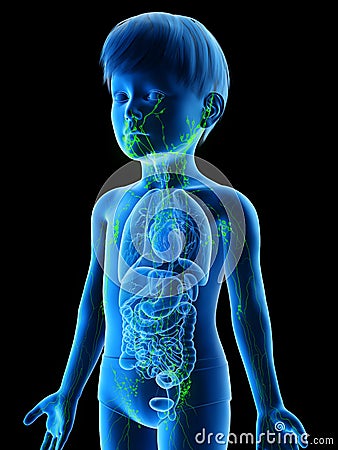 A boys lymphatic system Cartoon Illustration