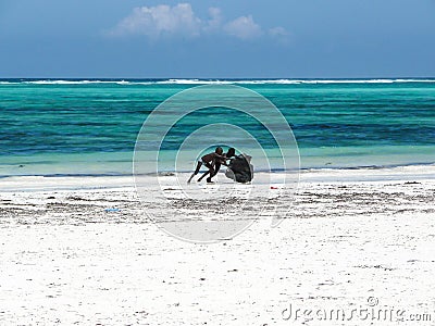 Boys moving rock Editorial Stock Photo