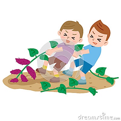 Boys to the sweet potato digging Vector Illustration