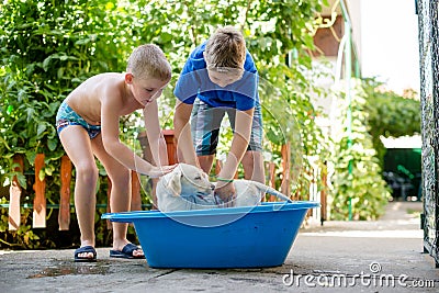 Boys are washing their dog Stock Photo