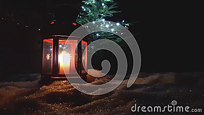 Bożenarodzeniowy czerwony rozjarzony lampion zamknięty w górę wiecznozielonego drzewa z zbiory wideo Bożenarodzeniowy czerwony rozjarzony lampion zamknięty w górę wiecznozielonego drzewa z zbiory wideo
