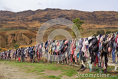 The bra fence in Cardrona, New Zealand, an unusual tourist attraction Editorial Stock Photo