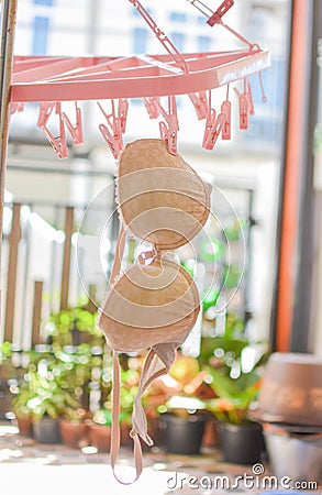 The bra of woman hung in the clothesline Stock Photo