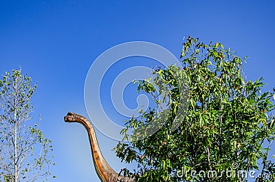 Brachiosaurus altithorax,the largest dinosaur had long neck big animal in jurassic edge Stock Photo