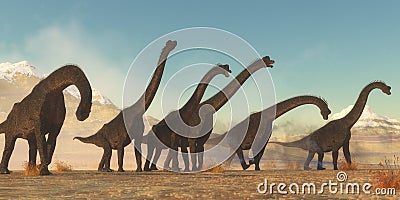 Brachiosaurus Dinosaur Herd Stock Photo