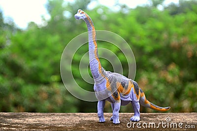 Brachiosaurus Dinosaurs Toy Stock Photo