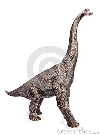 Brachiosaurus dinosaurs toy. Stock Photo