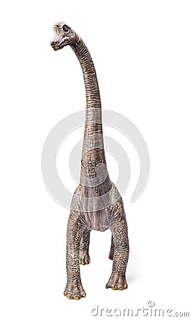 Brachiosaurus dinosaurs toy isolated on white background with clipping path. Stock Photo