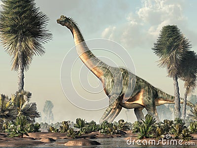 Brachiosaurus in a Wetland Stock Photo