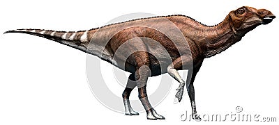 Brachylophosaurus Stock Photo