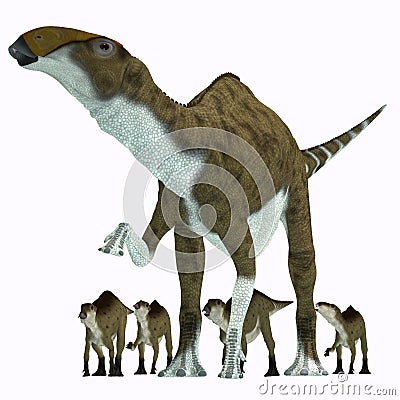 Brachylophosaurus Herbivore Dinosaur Stock Photo