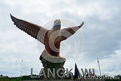 Brahmin kite, Kuah, Langkawi, Malaysia Editorial Stock Photo