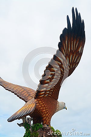 Brahmin kite, Kuah, Langkawi, Malaysia Stock Photo