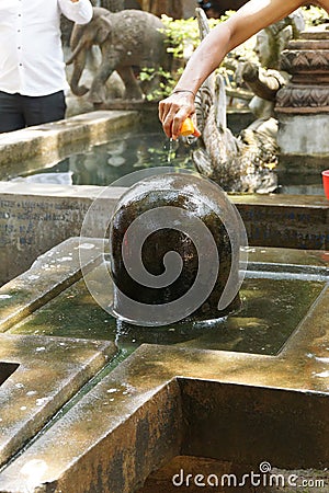 Brahmin priest offers puja at shiva lingam Stock Photo