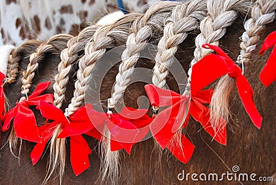 Braided horse mane with red bows Stock Photo