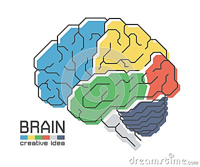 Brain anatomy with flat color design and outline stroke . Frontal Parietal Temporal Occipital lobe Cerebellum and Brainstem . Vector Illustration