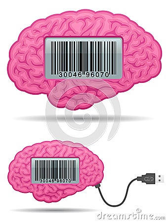 Brain with barcode screen and usb cable Vector Illustration