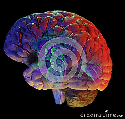 Brain on black Stock Photo