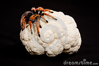 Brain cancer Stock Photo