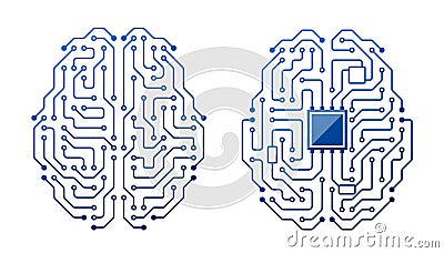Brain Circuit, Intricate Network Of Neurons Connected By Synapses, Forming Pathways For Information Processing Vector Illustration