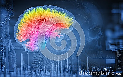 Brain Cartoon Illustration