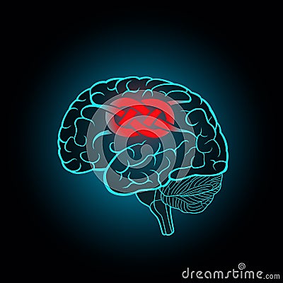 Brain with convolutions associated to the knot Vector Illustration