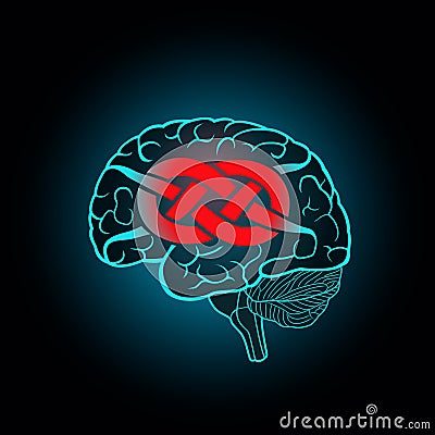 Brain with convolutions associated to the knot Vector Illustration