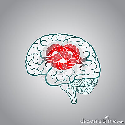 Brain with convolutions associated to the knot Stock Photo