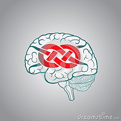 Brain with convolutions associated to the knot Stock Photo