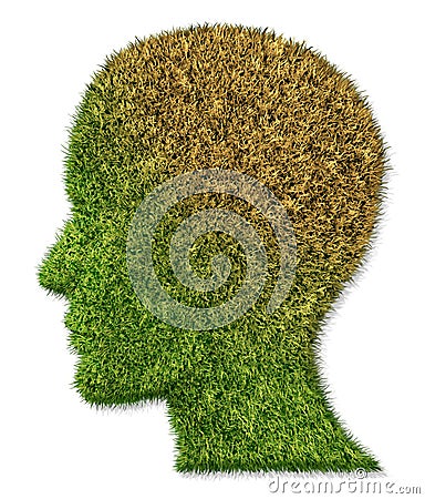 Brain Disease And Mental Illness Stock Photo