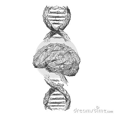 Brain and DNA spiral low poly Vector Illustration