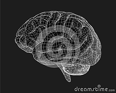 Brain drawing with wireframe illustration Vector Illustration