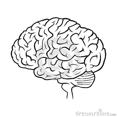 Brain graphic outline Vector Illustration