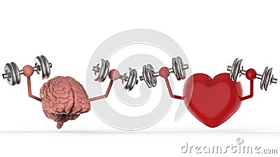 Brain and heart holding dumbbells Stock Photo