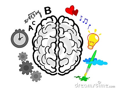 Brain hemispheres Cartoon Illustration