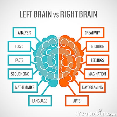 Brain hemispheres infographics Vector Illustration