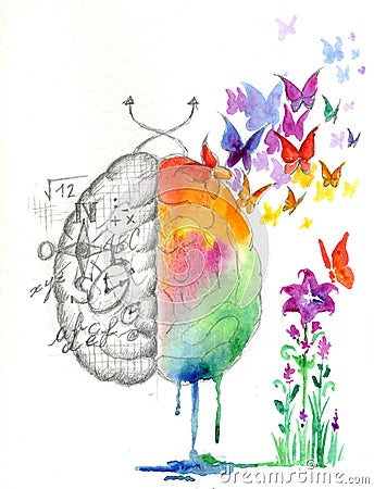 Brain hemispheres watercolored artwork Stock Photo