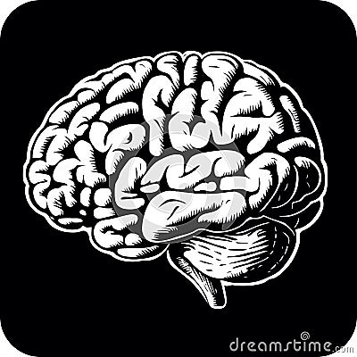 Brain icon in black and white over white Vector Illustration