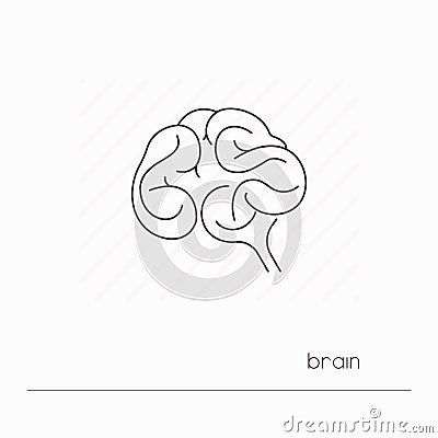 Brain icon isolated. Single thin line symbol of human brain. Vector Illustration